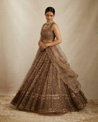 Wedding coffee color net lehenga choli collection for women