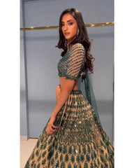 Chikoo color georgette designer lehenga choli