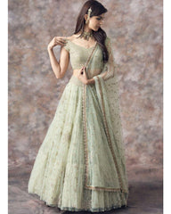 Light pista net embroidered designer lehenga choli