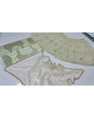 Light pista net embroidered designer lehenga choli