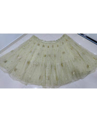 Light pista net embroidered designer lehenga choli