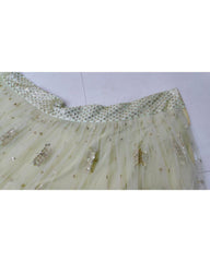 Light pista net embroidered designer lehenga choli
