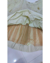 Light pista net embroidered designer lehenga choli