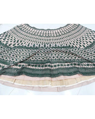 Chikoo color georgette designer lehenga choli