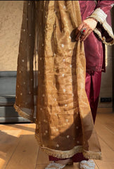 'Traditional Elegance: Woman in Maroon Embellished Salwar Kameez'