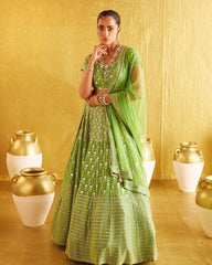 Parrot green banglori silk embroidery wedding lehenga choli