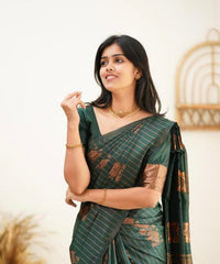 THIS GORGEOUS SILK  SAREE MAKES IT EXTREMELY STUNNING WEAVES